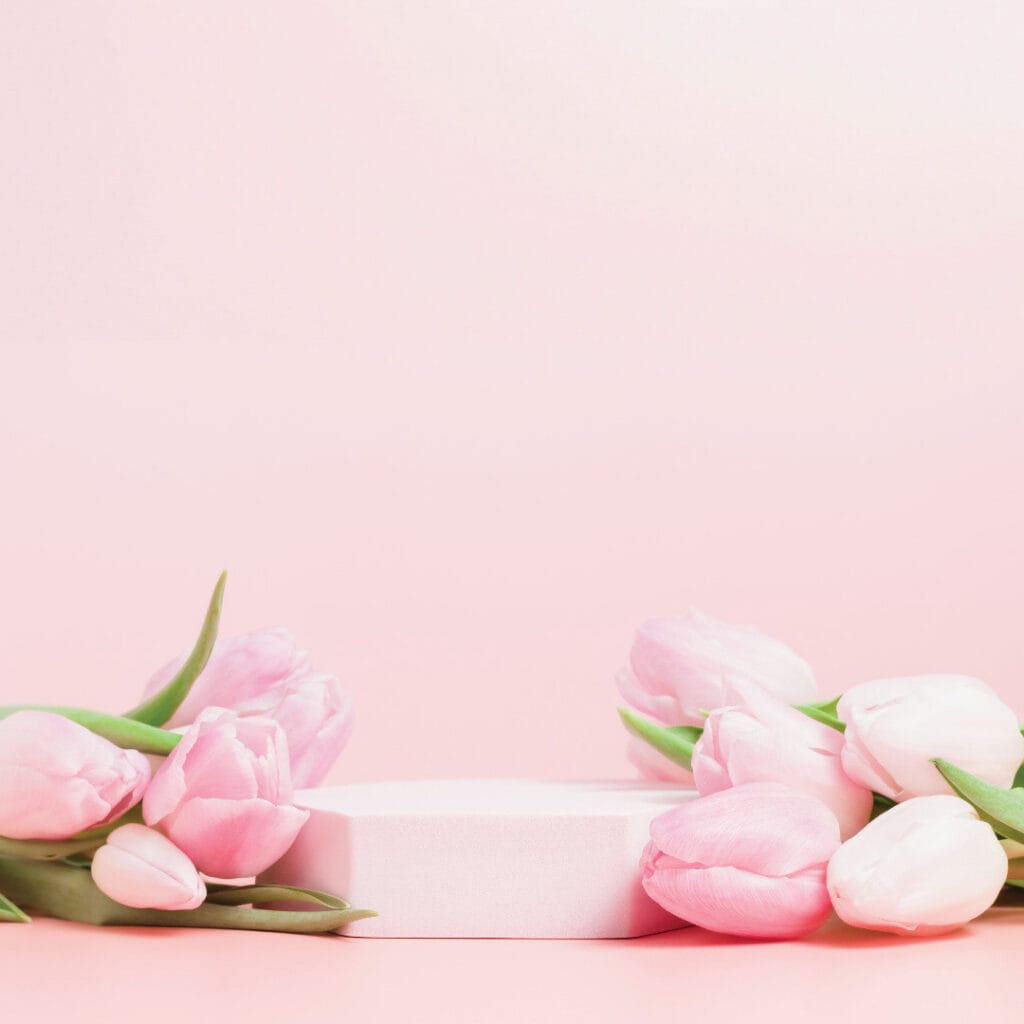 Instagram post from shayraecreative. This post is in position 2.